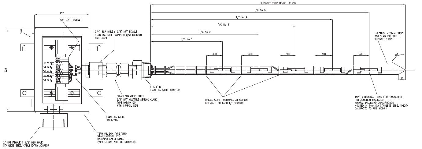 Flexible multipoint sensor assembly with support strip drawing