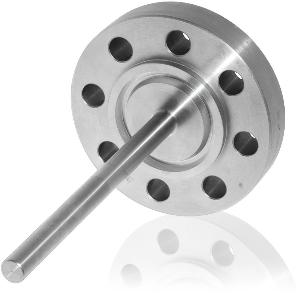 TTW series flanged solid drilled thermowell